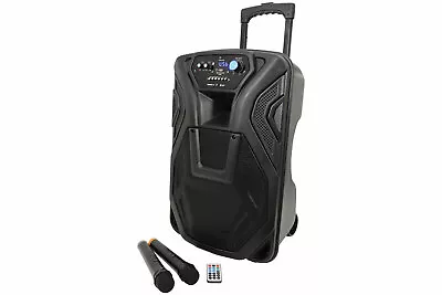 QTX Busker 12 Portable PA Speaker System & 2 Mics Rechargeable Bluetooth USB • £299.99