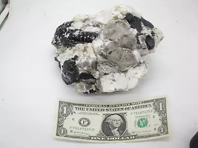 Large Molybdenite & Tourmaline On Quartz Mineral - Crystal -  U.S.Seller • $59