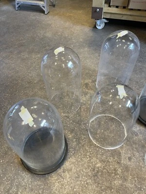 £100 • Buy Job Lot 6 Bell Jar Glass Cloche Dome Florist Display Cases Taxidermy Victoriana