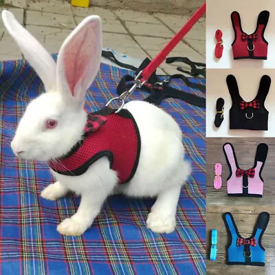 Adjustable Soft Harness With Elastic Leash For Rabbits/Bunny Small Pet Mesh Lead • $4.39