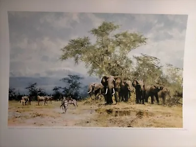 Amboseli David Shepherd Silkscreen  Elephants Kilimanjaro Unusual Item One Off • £2500