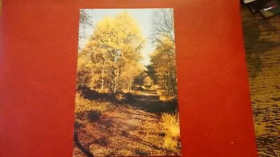 £2.94 • Buy Brindley Bottom, Cannock Chase, Photo Alec Bates Of Lichfield