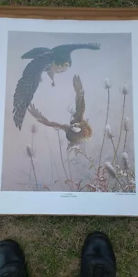 Christopher Walden “In A Flurry” S/N Limited Edition Print Quail Unlimited #1843 • $0.99