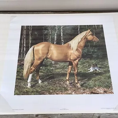 Carl Brenders BLONDE BEAUTY Horse Print Signed & Numbered Vintage SEALED! • $62