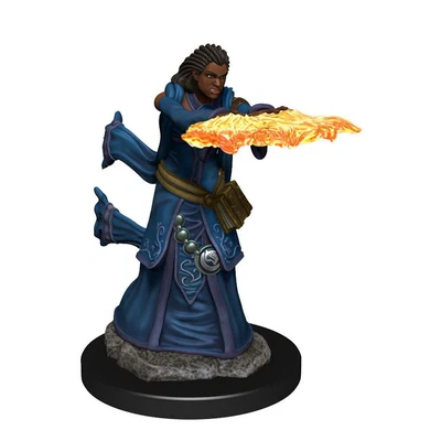 $20.95 • Buy Dungeons & Dragons Premium Female Human Wizard Pre-Painted Figure
