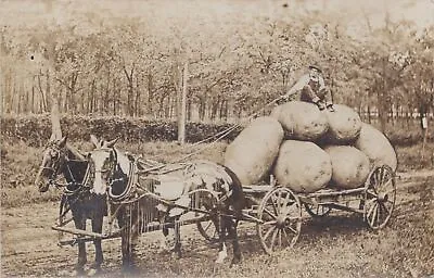 $8 • Buy RPPC EXAGGERATION 1908 POTATO COUNTRY HARVEST Prosperity America Agricultural!