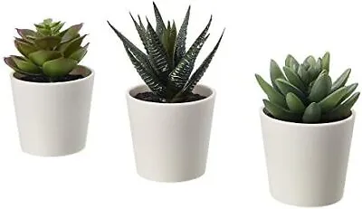 IKEA 203.953.31 FEJKA Mini Artificial Succulent Desk Plants In Pots 6 Centimetr • £8.82