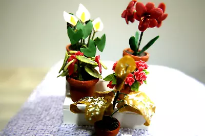 Miniature Potted Flowers • $15.99