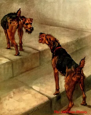 3456 Earl Maud (1864-1943) - 1910 Power Of The Dog - Welsh Terrier • $39.33
