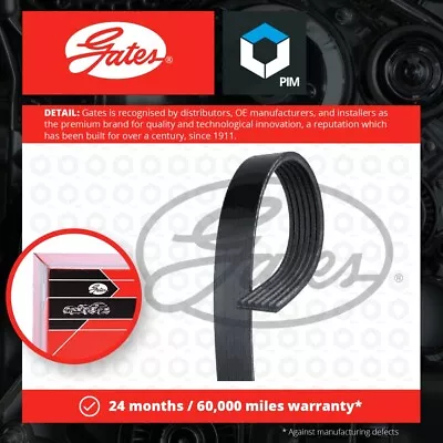 6 Rib Multi V Drive Belt Fits JEEP WRANGLER 4.0 86 To 96 Gates 53007595 53010284 • $29.04