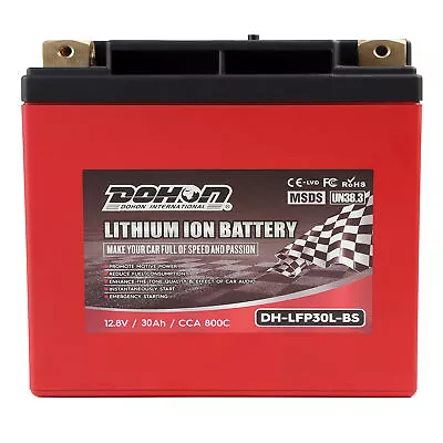 LFP 30L-BS 30AH 800CCA Lithium Battery 880 CA Replaces ATX30-RS YTX30 YTX30L-BS • $229.95