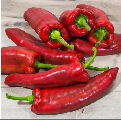 RED MARCONI PEPPER 60 Seeds • $9.99
