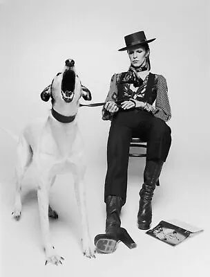 David Bowie And Dog Art Print 500x400mm • £14.48