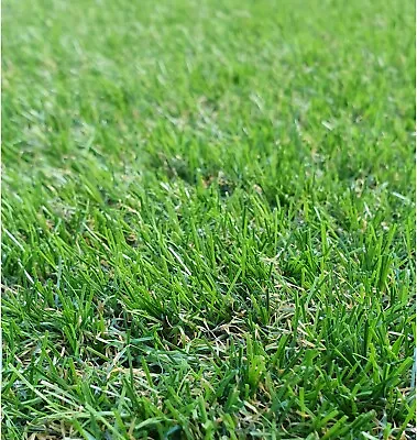 Coniston 35mm Astro Artificial Garden Grass Realistic Natural Fake Turf Lawn • £42.99