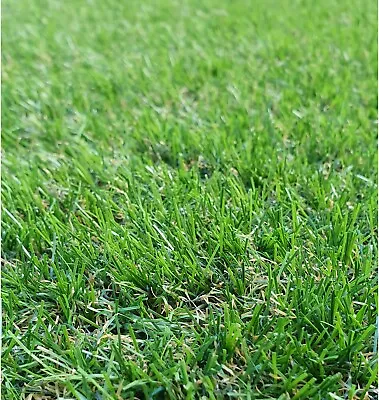 Lynton 35mm Astro Artificial Garden Grass Realistic Natural Fake Turf Lawn • £0.99