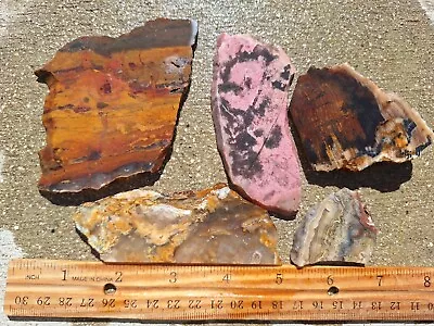 5 Unpolished Mixed Lapidary Rough Slabs *Pet Wood Crazy Lace Rhodonite 7.8 Oz • $0.99