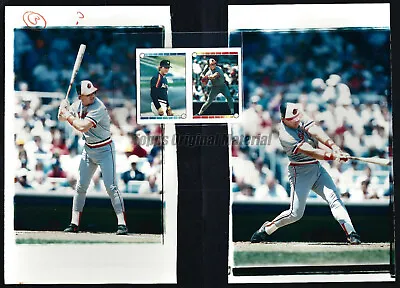 Mickey Tettleton Orioles 1989 Topps Sticker Original Extra Photos 5x8 Vault PICK • $7.23