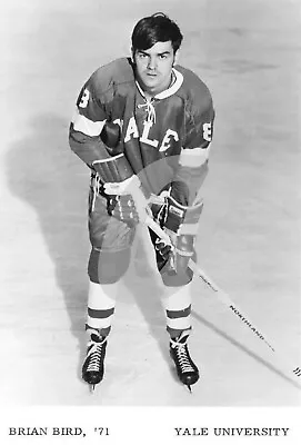 Usa College University Hockey Players Media Photos ( You Pick From List) Reprint • $4.39
