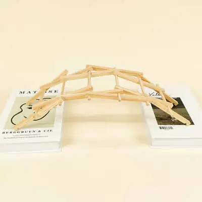 CreateKit Da Vinci's Bridge DIY Kit • $10