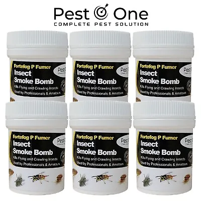 Bed Bug Killer Treatment PRO Smoke Fumer Pest Fogger Smoker BIG 11G • £9.09