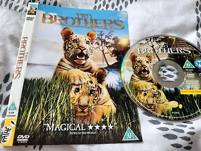 £1.45 • Buy Two Brothers - DVD - NO CASE