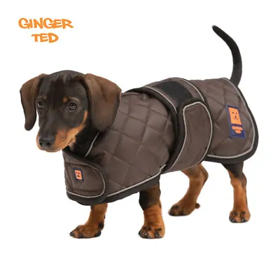 Ginger Ted Dachshund Harness Dog Coat - Warm Fleecy Lining Raincoat Parka • £33.99