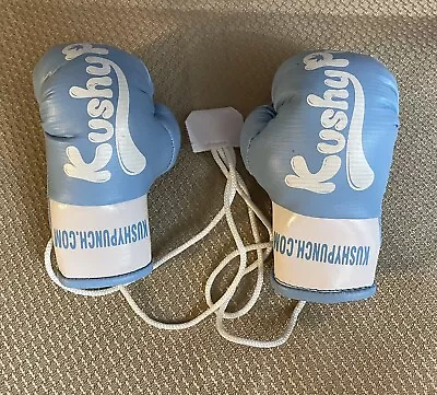 Official KUSHY PUNCH Mini Boxing Gloves Promo 420 • $35