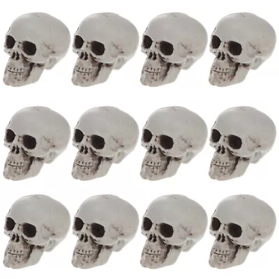 12pcs Halloween Plastic Skull Head Decoration Realistic Skull Head Small Skull • £13.85