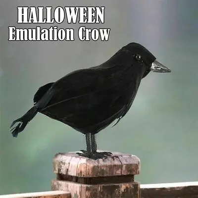 Black Lifesize Raven Movie Prop Fake Crow Halloween Hunting Decor Bird BEST • £0.01