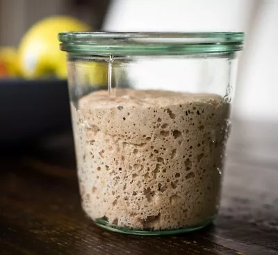 106y/o Rye Sourdough Starter - 100% ORGANIC & Probiotic + Instructions & Recipes • $9.95