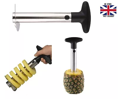 Fruit Cutter Easy Slicer Pineapple Corer Slicer Peeler Cutter • $7.45