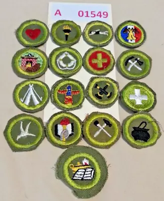 Bsa  Merit Badge Lot Of 17 Type E (47-60) Narrow Border A01549 • $19