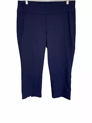 Martha Stewart Fern Stretch Twill Crop Pants With Back Slits Ink Blue 16 Size • $15
