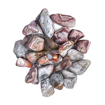 1/4 Lb Medium Tumbled Crazy Lace Agate Gemstone Crystals Bulk Gems Crafting Rock • $23.99