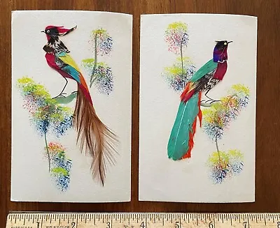 Vintage Lot 2 Made In Mexico Birds Of Paradise Cards Feathers • $9.99