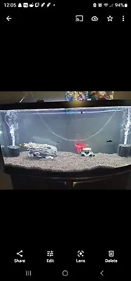 90 Gallon Bowed Aquarium Fish Tank Glass With Stand  • $600