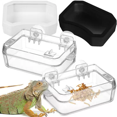  2 Pcs Chameleon Bowl Reptile Feeding Feeder Snake Water Crawling Pet Food • £11.89