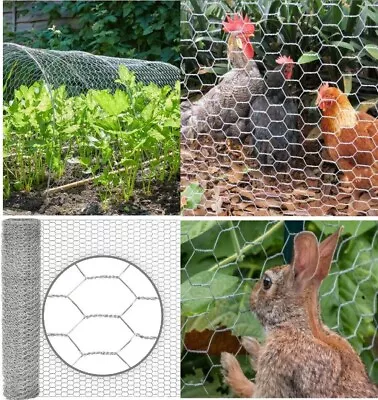 Galvanised Mesh Wire Netting Chicken Rabbit Cage Aviary Fence Plant Net Garden • £12.95