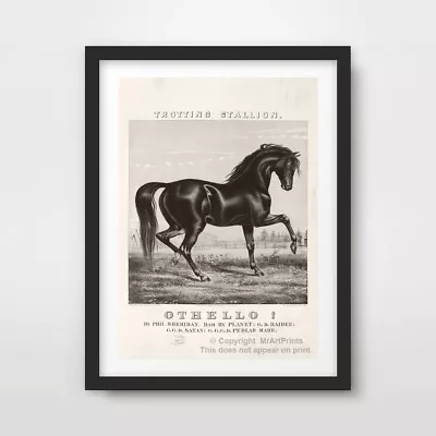 BLACK STALLION HORSE EQUESTRIAN ART PRINT Poster Antique Decor Wall Artwork • £14.99