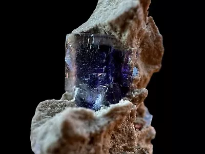 Fluorite With Purple Zoning - AUGLAIZE OHIO   EX  Dr.John Medici Specimen • $74.99