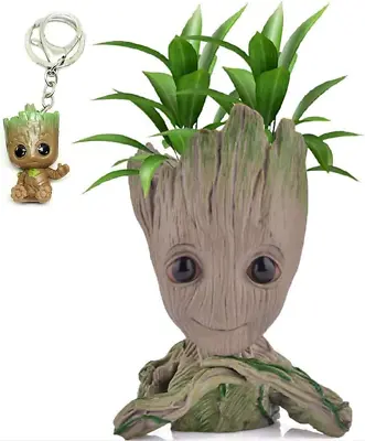 Udream Groot Plant Pot Cartoon Baby Groot Flower Pot With Drainage Hole Groot • £10.46