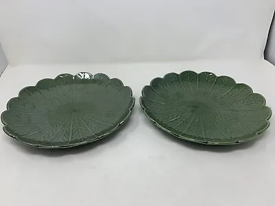 Palmetto Collection Baum Brothers 2 Style Eyes Cabbage Dinner Plates.  A10 10.5  • $79.95