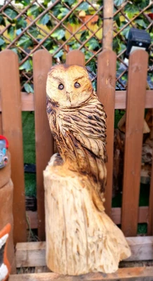 £95 • Buy Chainsaw Carving Owls And Many More