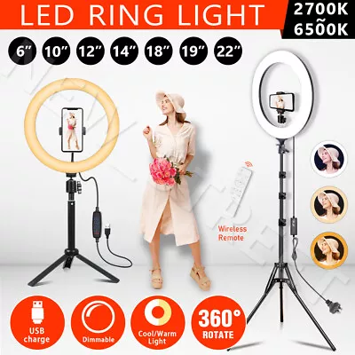 $92.98 • Buy 6 /10 /12''/14 /18 /19 /22  Dimmable Diva LED Ring Light Selfie Tripod Stand Kit