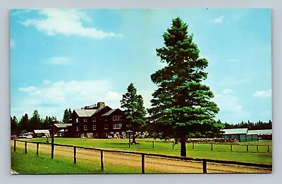 Motel Hotel Postcard Maine ME Moose River Sky Lodge Motel Pine Trees Log Fence • $2.97