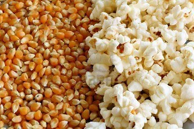 £2.03 • Buy Popcorn Kernels Seeds Popping Corn A* Quality Raw Free P&P Sizes From 50g-1kg 