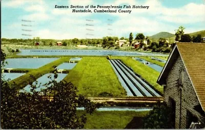 1950's. Huntsdale Pa. Fish Hatchery. Postcard. Hh11 • $8