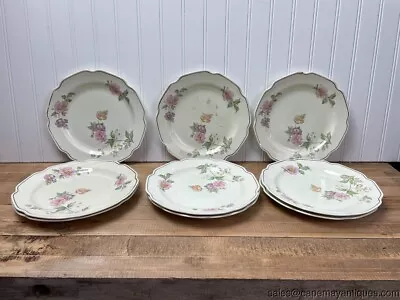 9 Antique Mt Clemens Pottery Floral Dinner Plates White Platinum Trim USA • $125