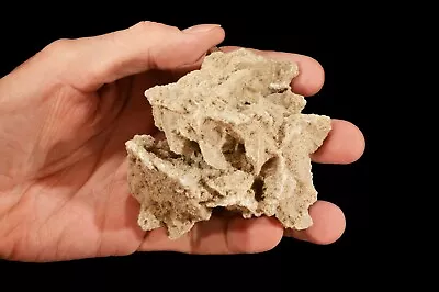 $13.99 • Buy DESERT SELENITE Sand Rose 4  10 Oz Raw Rock Mineral Specimen Healing Crystal