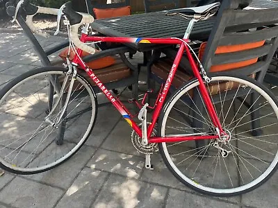 Pinarello Vintage Steel Full Campy 58cm Road Bike • $800